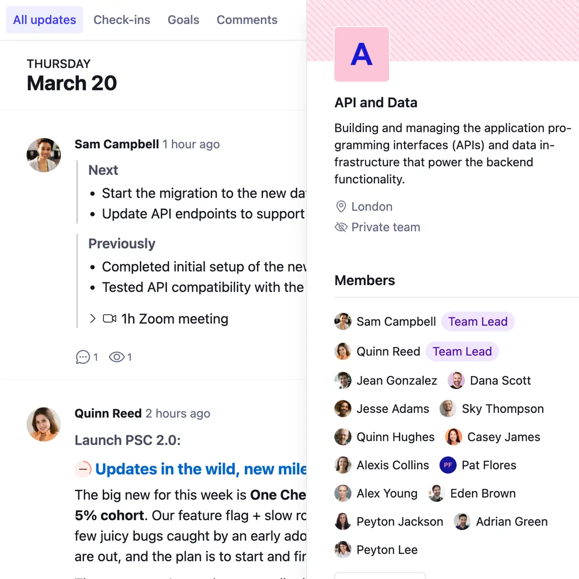 a team profile in Steady